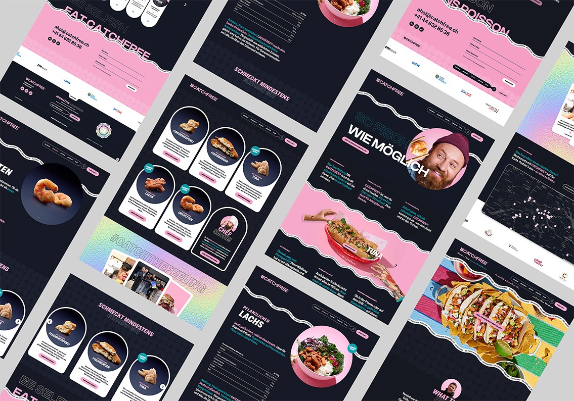 Webdesign- Mockup/Referenz (Catchfree)